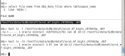 sqlplus-bigfile-info-and-host-to-ls